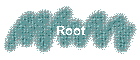 Root