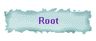 Root