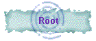 Root